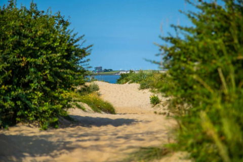 Zandpad - EuroParcs Poort van Zeeland - Hellevoetsluis, South Holland, Netherlands