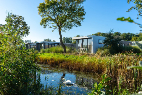 Accommodaties langs het water - EuroParcs Poort van Zeeland - Hellevoetsluis, Zuid-Holland, Nederland