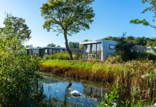 Accommodaties langs het water - EuroParcs Poort van Zeeland - Hellevoetsluis, Zuid-Holland, Nederland