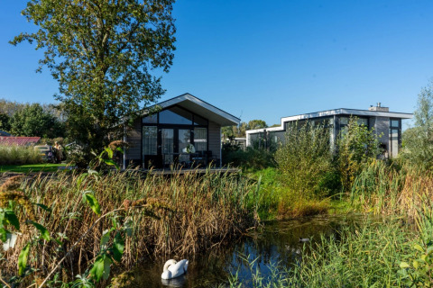 Waterfront accommodations - EuroParcs Poort van Zeeland - Hellevoetsluis, South Holland, Netherlands