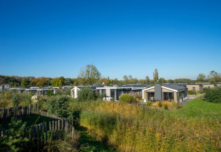 Accommodaties naast elkaar - EuroParcs Poort van Zeeland - Hellevoetsluis, Zuid-Holland, Nederland
