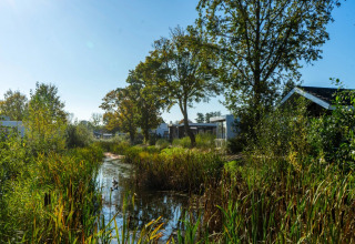Grün im Park - EuroParcs Poort van Zeeland - Hellevoetsluis, Südholland, Niederlande