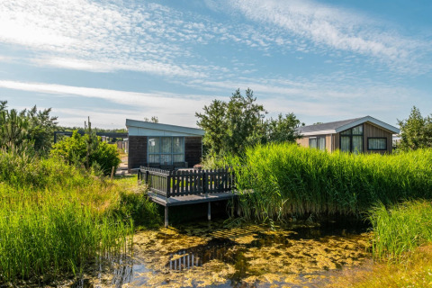 Accommodation near the water - EuroParcs Poort van Zeeland - Hellevoetsluis, South Holland, Netherlands
