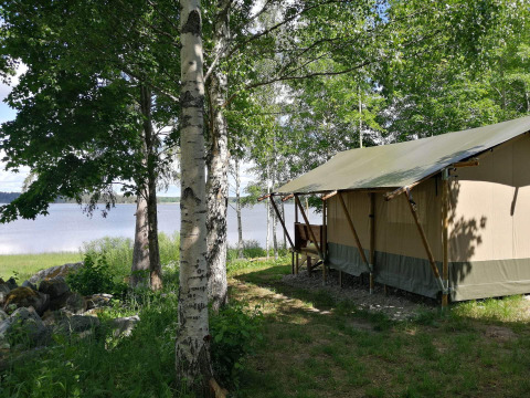 Safari telt ved en sø omgivet af grønne træer på en solrig dag, ideelt til naturoplevelser og afslapning.
