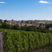 Viñedos cerca de La Romieu, Occitania, Francia, con un pueblo pintoresco y campos verdes al fondo.