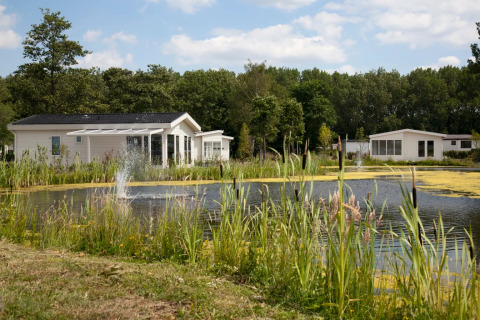 Vakantiehuizen aan overkant van vijver - EuroParcs De Biesbosch - Dordrecht, Zuid-Holland, Nederland