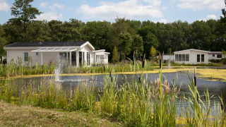 Ferienhäuser über dem großen Teich - EuroParcs De Biesbosch - Dordrecht, Zuid-Holland, Niederlande