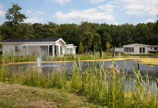 Ferienhäuser über dem großen Teich - EuroParcs De Biesbosch - Dordrecht, Zuid-Holland, Niederlande