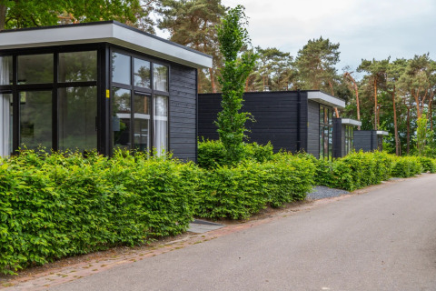 Cubes - EuroParcs Maasduinen - Belfeld, Limbourg, Pays-Bas