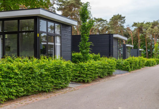 Cubes - EuroParcs Maasduinen - Belfeld, Limbourg, Pays-Bas