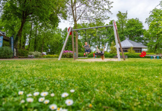 Little boy on swing - EuroParcs Maasduinen - Belfeld, Limburg, Netherlands