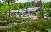 Terrace of restaurant - EuroParcs Maasduinen - Belfeld, Limburg, Netherlands