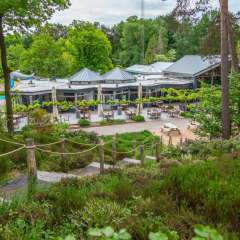 Terraza del restaurante - EuroParcs Maasduinen - Belfeld, Limburgo, Países Bajos