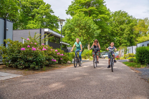 Un père, une mère et un fils traversent le parc à vélo - EuroParcs Maasduinen - Belfeld, Limburg, Pays-Bas
