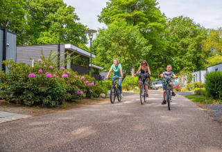 Padre, madre e hijo recorren el parque en bicicleta - EuroParcs Maasduinen - Belfeld, Limburgo, Países Bajos