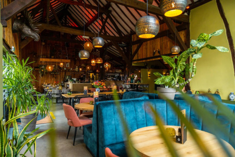 Ristorante accogliente - EuroParcs Gulperberg - Gulpen, Limburgo, Paesi Bassi