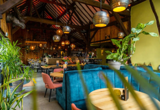 Restaurante acogedor - EuroParcs Gulperberg - Gulpen, Limburgo, Países Bajos