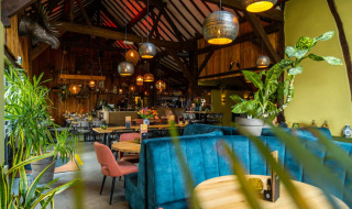 Gezellige eetruimte in een glamping vakantiepark met houten interieur, planten en blauwe banken.