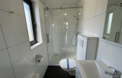 Kleine, moderne badkamer in een tiny house met douche, toilet, lavabo en een raam met veel licht.