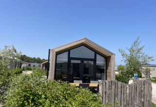 Une tiny house aux grandes fenêtres et clôture en bois, entourée de verdure sous un ciel bleu clair.