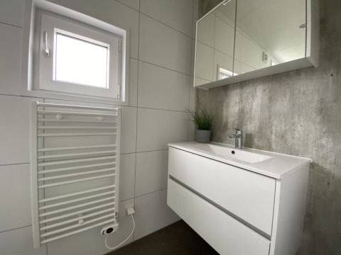 Moderne tiny house badkamer met witte wastafel, spiegelkast, handdoekradiator en klein raam.
