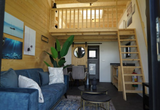 Interno di lodge moderno con pareti in legno, soppalco, divano blu, pianta verde e piccola cucina.