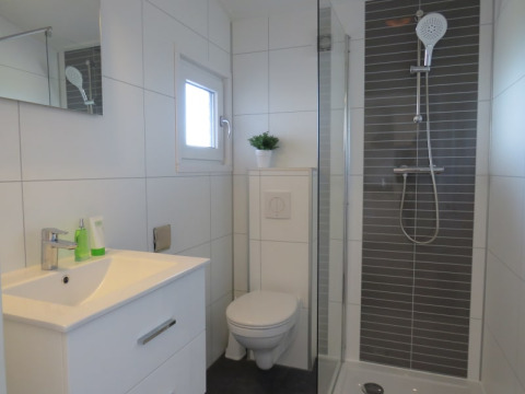 Salle de bain moderne dans un lodge avec douche, toilettes, lavabo, miroir, petite fenêtre et plante.