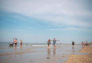 Wandern am Strand - EuroParcs Schoneveld - Breskens, Zeeland, Niederlande