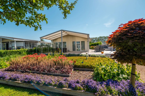 Accommodaties op het park - EuroParcs Schoneveld - Breskens, Zeeland, Nederland
