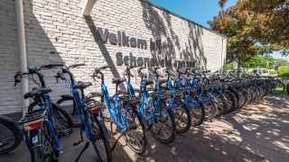Alquiler de bicicletas - EuroParcs Schoneveld - Breskens, Zelanda, Países Bajos