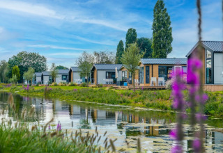 Chalets au bord du fossé - EuroParcs Aan de Maas - Kerkdriel, Gelderland, Pays-Bas
