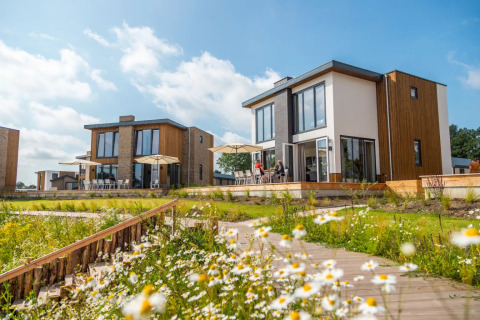 Moderne glampingaccommodaties met terrassen en grote ramen in een zonnig vakantiepark met bloemen.
