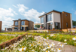 Casas rurales y terraza - EuroParcs Aan de Maas - Kerkdriel, Güeldres, Países Bajos