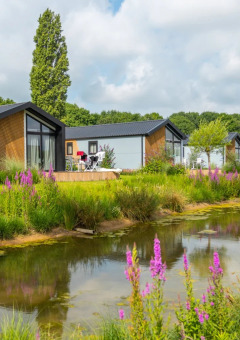 Moderne glampinghuisjes langs een vijver omringd door groen en paarse bloemen in een vakantiepark.