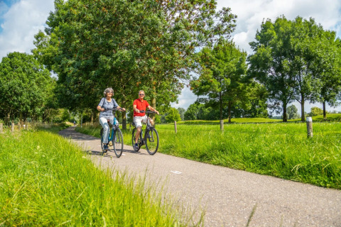 Cycling in the area - EuroParcs Aan de Maas - Kerkdriel, Gelderland, Netherlands