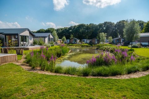Cottages along the water - EuroParcs Aan de Maas - Kerkdriel, Gelderland, Netherlands