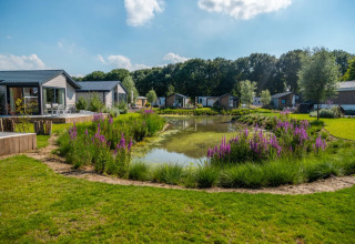 Foto van een vakantiepark met glampingverblijven rond een vijver, omringd door paarse bloemen en groen gras.