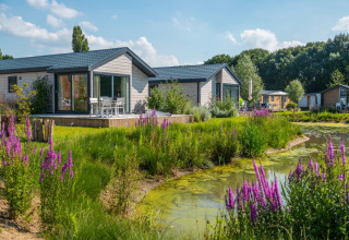 Holiday park with glamping cabins by a pond, surrounded by wildflowers and lush greenery in summer.
