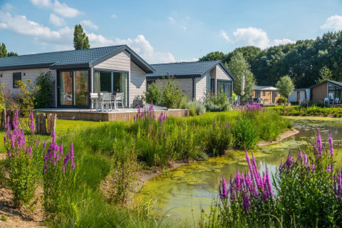 Parque vacacional con cabañas glamping junto a un estanque, rodeado de flores silvestres y vegetación.