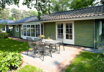 Foto van een lodge met groene houten muren, grote ramen en terras met tuinmeubelen in een groene omgeving.