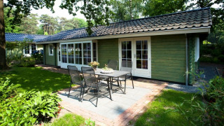 Foto einer Lodge mit grünen Holzwänden, großen Fenstern und Terrasse mit Gartenmöbeln im Grünen.