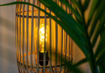 Lampadina a filamento accesa in una lampada di legno nella lodge Pavilion, parzialmente coperta da foglie verdi.