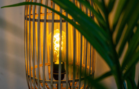 En varm glødepære i en dekorativ lampe af træ ved Pavilion-lodgen, delvist skjult af grønne blade.