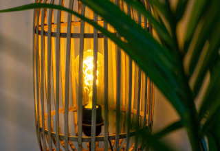 Brandende filamentlamp in een houten designlamp bij Pavilion lodge, deels verborgen achter groene bladeren.
