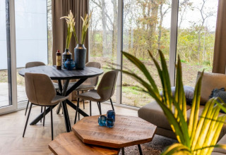 Interior de cabaña moderna con mesa de comedor, cuatro sillas, sofá, plantas y grandes ventanales al exterior.