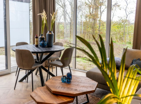 Interno di lodge moderno con tavolo da pranzo, quattro sedie, divano, piante e grandi finestre sulla natura.