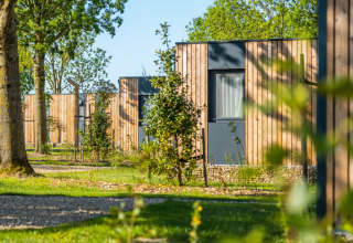 Række af moderne glamping-hytter omgivet af grønne træer og planter i en dansk feriepark om sommeren.
