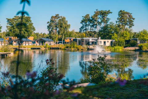 Vakantiepark met stijlvolle glampingverblijven aan een vijver, omringd door groene bomen en bloemen.