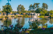Parque vacacional con alojamientos glamping modernos junto a un estanque, rodeado de árboles y flores.
