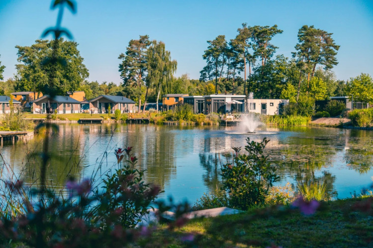 Foto eines Ferienparks mit stilvollen Glamping-Unterkünften am Teich, umgeben von Bäumen und Blumen.